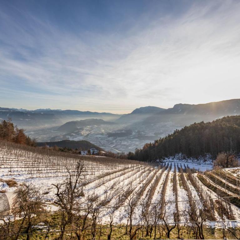 Malgorerhof Sonja - Two-Bedroom Deluxe Apartment with Garden View - 10