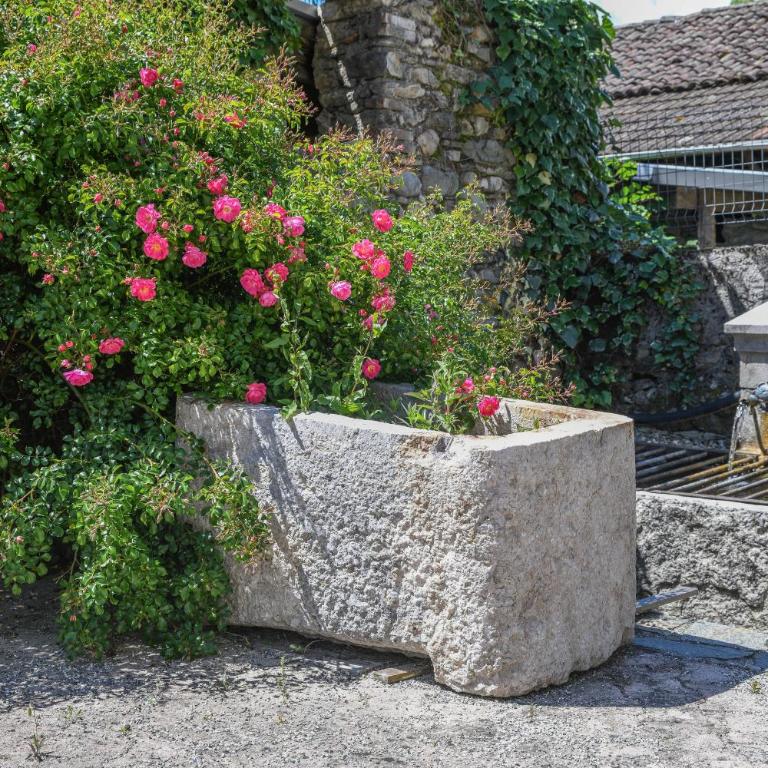 Gite Le Moulin De Bayard - Appartement avec Terrasse - 35