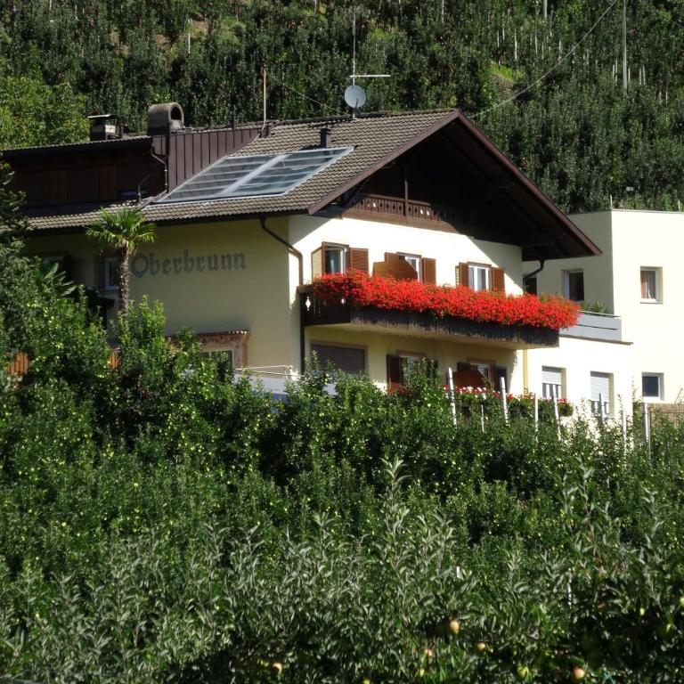 Ferienwohnungen Oberbrunnhof - Apartamento Superior de 1 dormitorio con balcón - 5