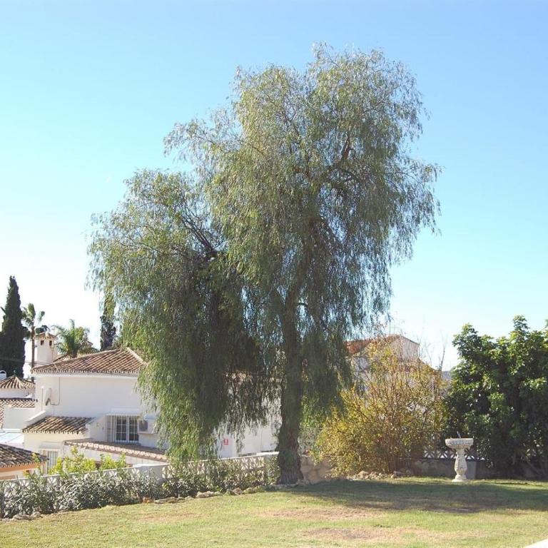 Fantastic renovated villa annex - Villa - 39