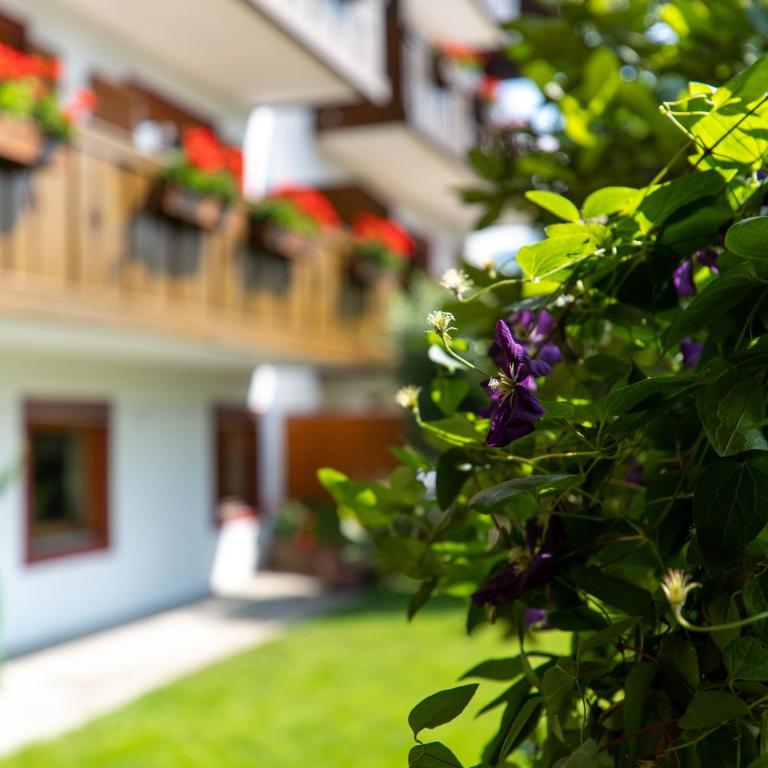 Wiesengrund - Dachgeschoss 2 - Appartamento Deluxe con 2 Camere da Letto e Vista Giardino - 10