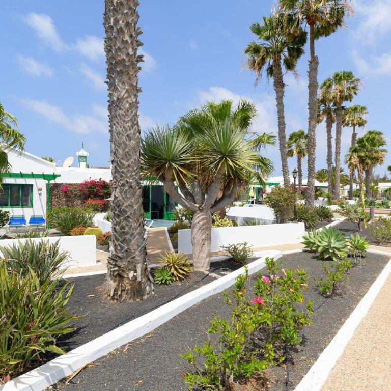 Jardin Del Sol 12 - Apartamento de 1 dormitorio con jardín - 5