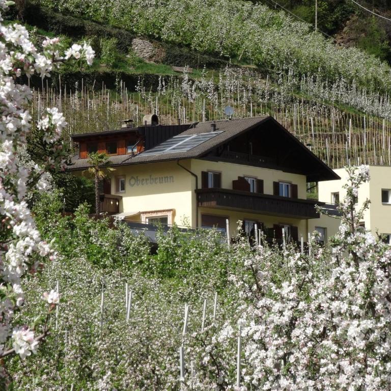 Ferienwohnungen Oberbrunnhof - Apartamento Superior de 1 dormitorio con balcón - 3
