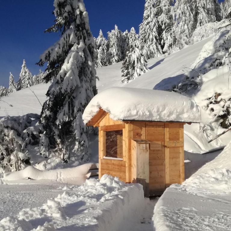 Chalet Panorama Himmelreichhof - Chalet mit 2 Schlafzimmern - 19
