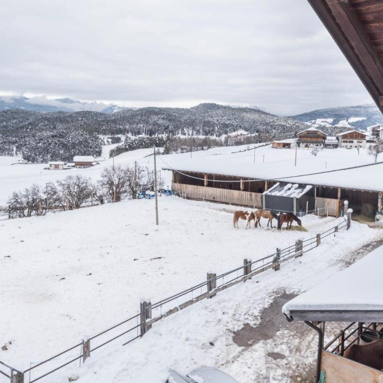 Ladinser Hof Sattelkammer - Two-Bedroom Apartment with Mountain View - 20