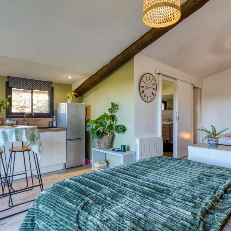 Chambre spa privé Arles campagne - Studio mit Terrasse - 10