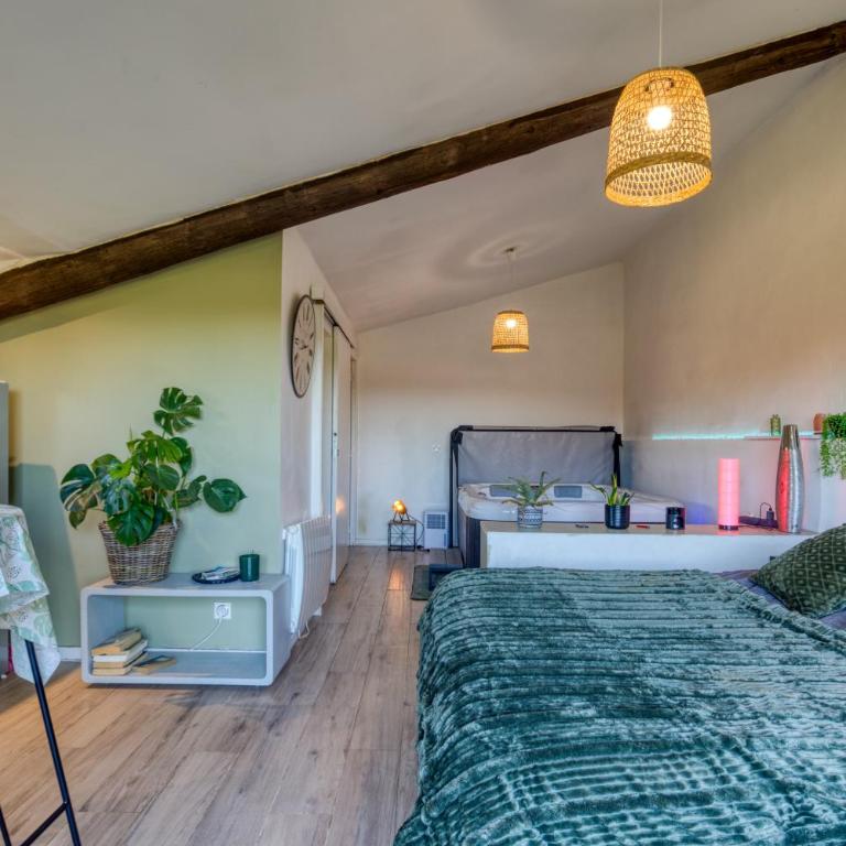 Chambre spa privé Arles campagne - Studio mit Terrasse - 9