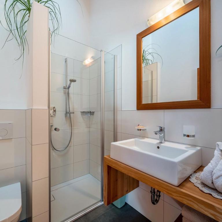 Ferienhaus Larch Soge Apt Karin - Superior One-Bedroom Apartment with Balcony - 18