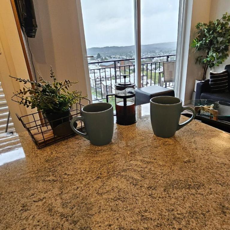 Acogedor departamento céntrico vista al lago - Apartamento de 2 dormitorios - 9