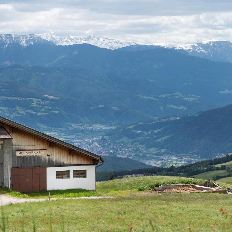 Forchnerhof Apt Ploseblick - Deluxe-Apartment mit 2 Schlafzimmern und Gartenblick - 28