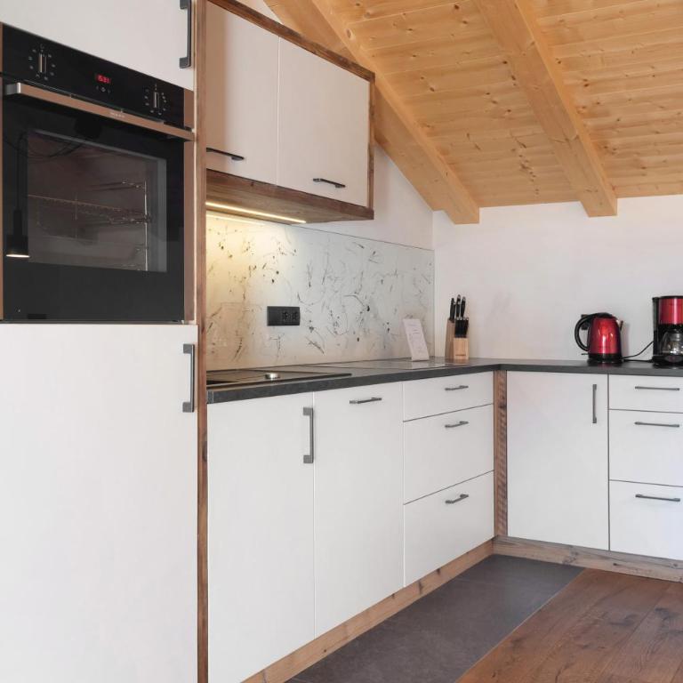 Platiederhof Apt Lajen - Appartamento Superior con 1 Camera da Letto e Balcone - 5