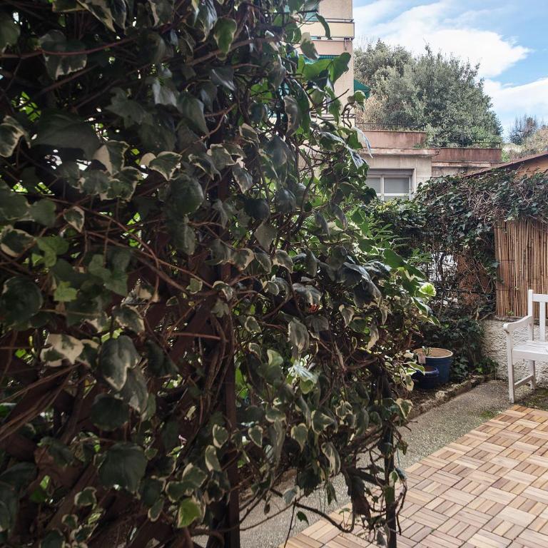 Casa Nio - Monolocale con Vista Giardino - 25