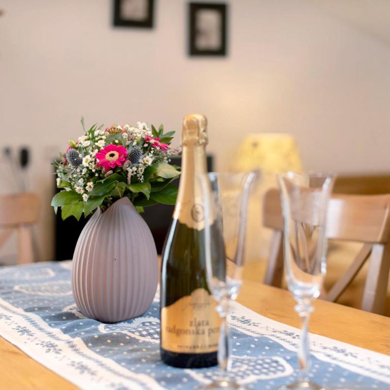 Haus Lowe Appartement 2 Stock Nr 5 - Superior One-Bedroom Apartment with Balcony - 2