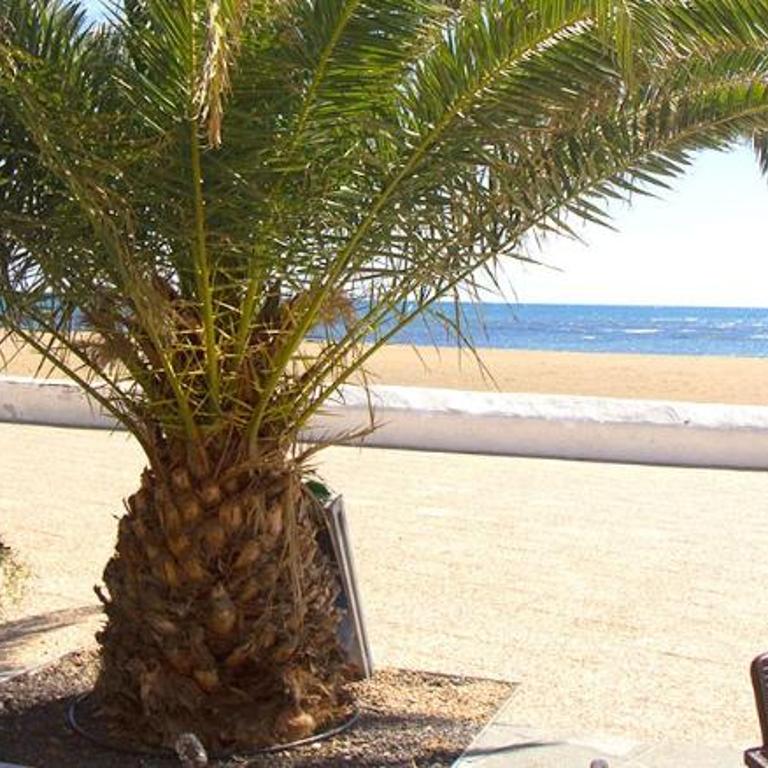 Playa honda Holiday home - Apartamento Superior de 1 dormitorio con balcón - 12