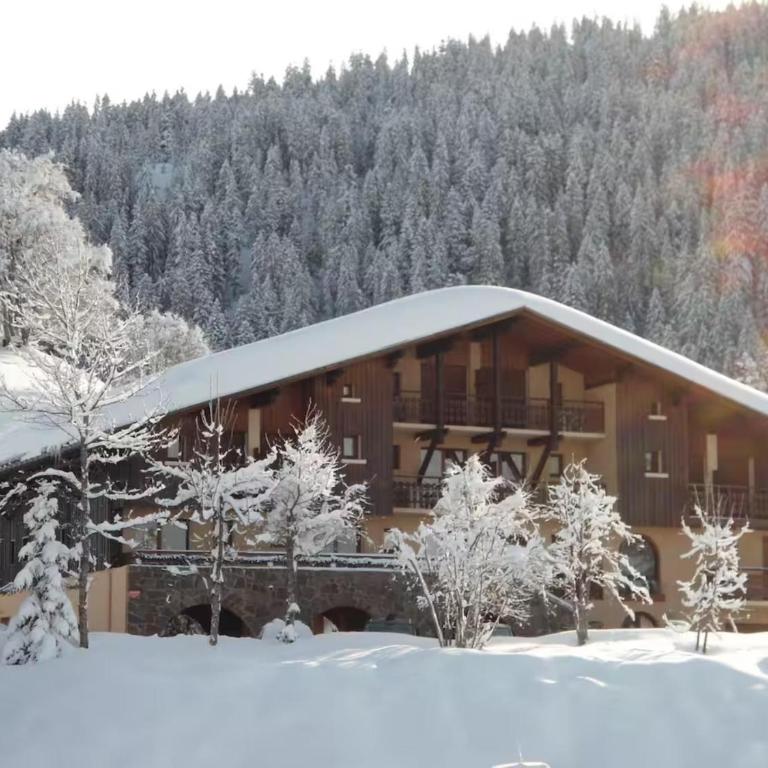 Appartement 6 - Perce Neige - Apartamento de 3 dormitorios con vistas a las montañas - 26
