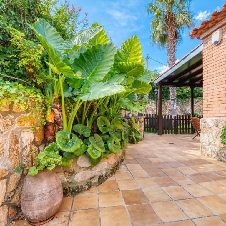 Costacabana - Villa Alba - Villa con vistas al jardín - 9