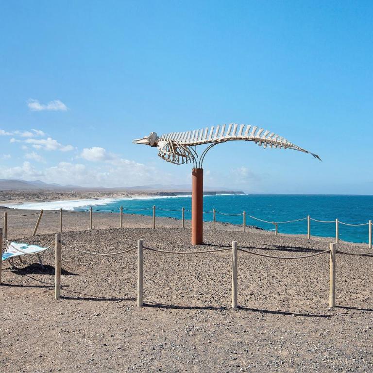 El Cotillo Mar Beach - Apartamento Deluxe de 2 dormitorios con vistas al mar - 27