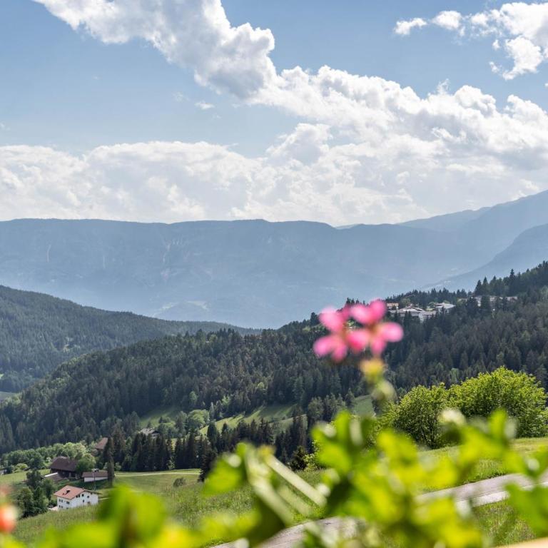Haughof Apartement Blumenwiese - Deluxe-Apartment mit 2 Schlafzimmern und Gartenblick - 14