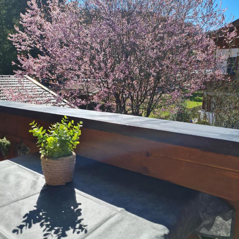 Ferienwohnung Wetterstein - Casa con 1 Camera da Letto - 18