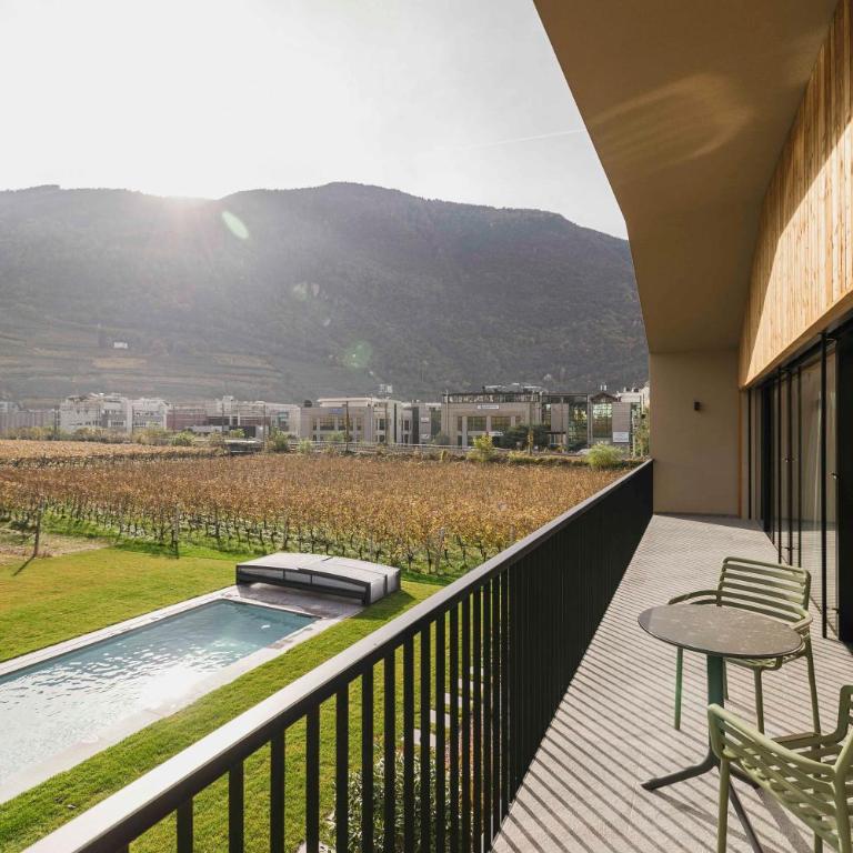 Trianglhof surrounded by vineyards - Appartamento Deluxe con 2 Camere da Letto e Vista Giardino - 10