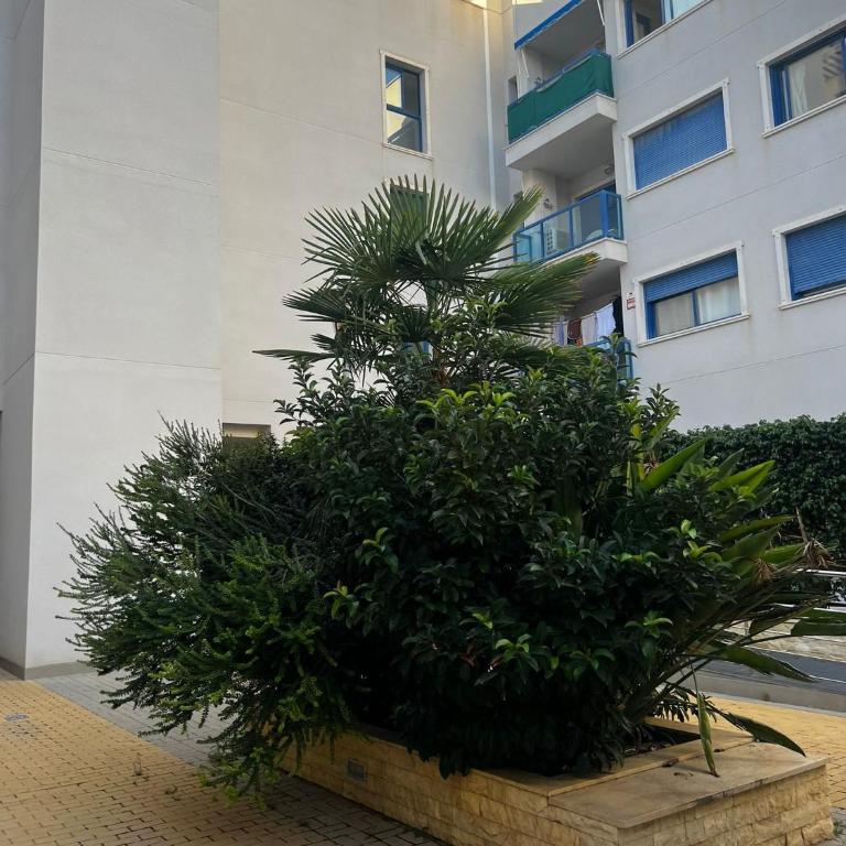 Alicante Hills - Quadruple Room with Shower - 6