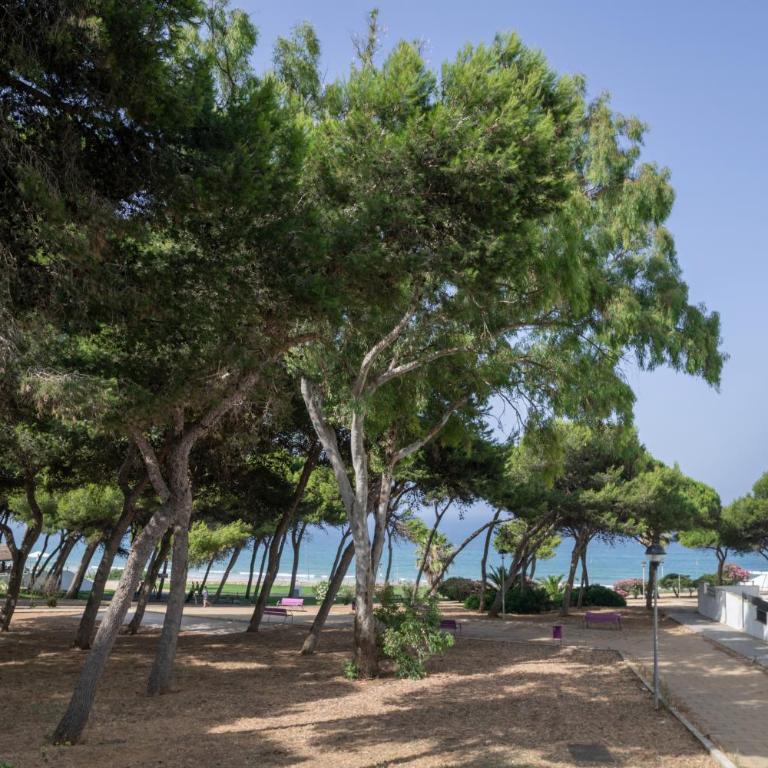 Duplex Atalaya - Apartamento con ducha - 21