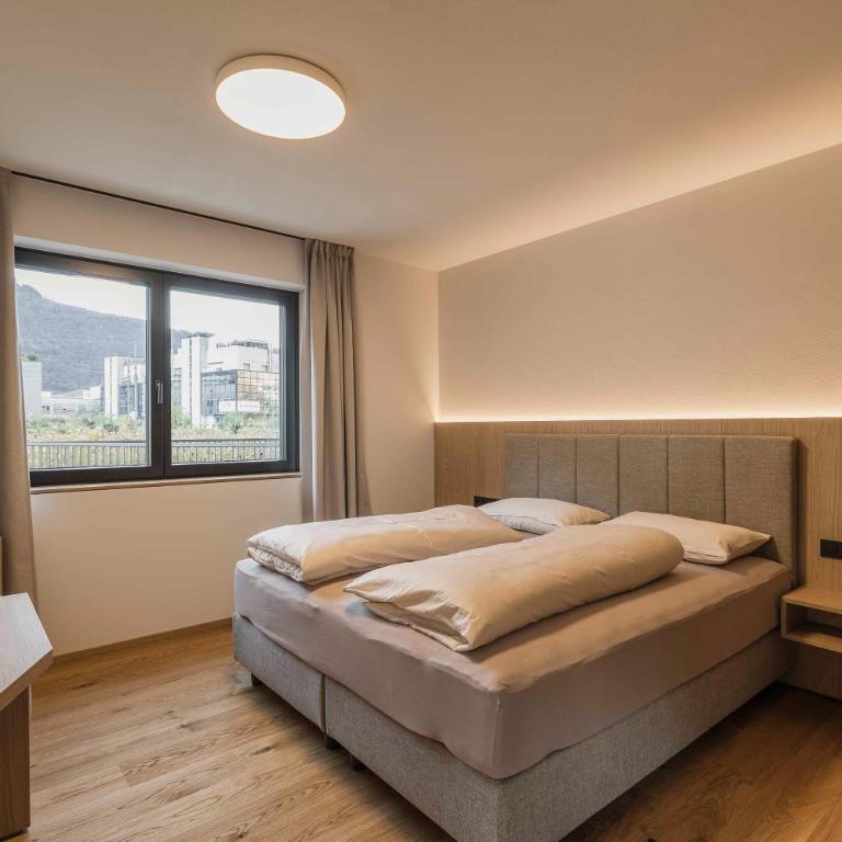 Trianglhof surrounded by vineyards - Appartamento Deluxe con 2 Camere da Letto e Vista Giardino - 14