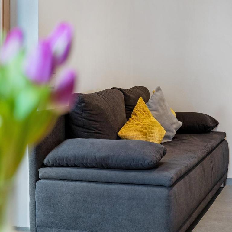 Hof Am Egg - Apartment mit 3 Schlafzimmern und Bergblick - 11