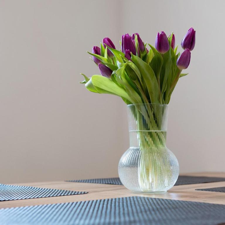Hof Am Egg - Apartment mit 3 Schlafzimmern und Bergblick - 9
