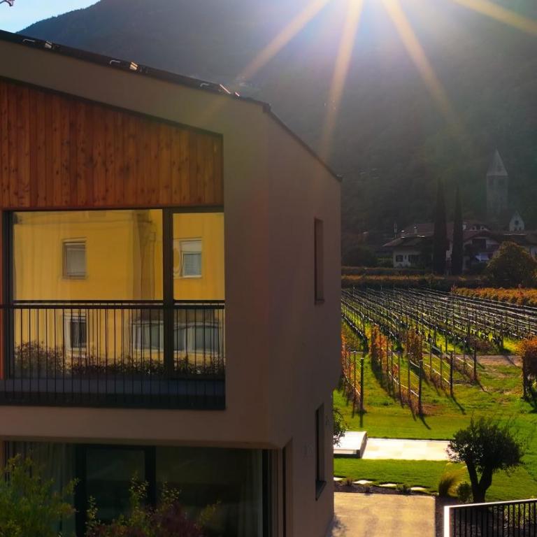 Trianglhof surrounded by vineyards - Appartamento Superior con Vista Città - 10