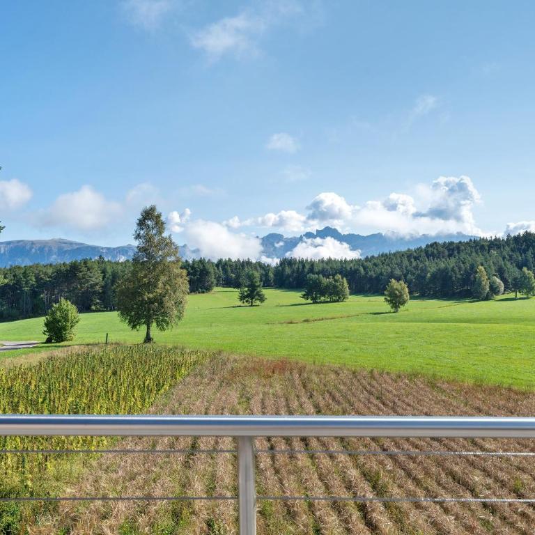 Kesselmoos - Appartamento Superior con 1 Camera da Letto e Balcone - 14