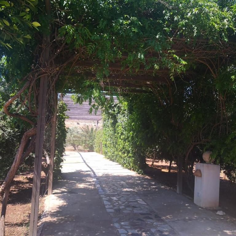 Cortijo Torreblanca - 12 personas - Villa con vistas al jardín - 8