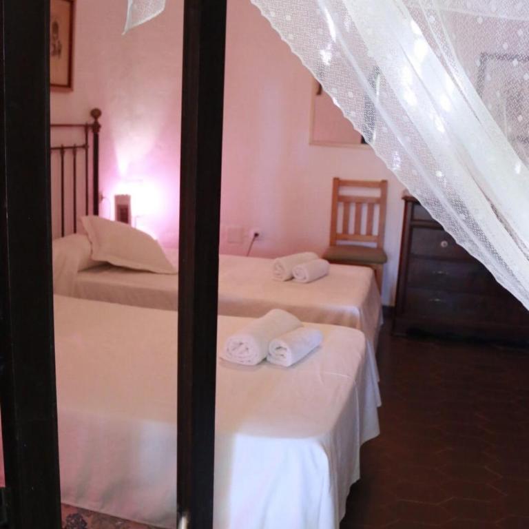 Cortijo Torreblanca - 12 personas - Villa con vistas al jardín - 20
