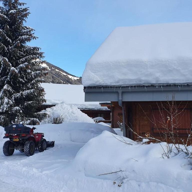 Chalet Du Saix - Sauna - Chalet 3 Chambres - 3