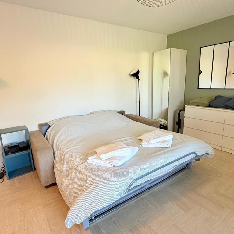 Appt 4pers, piscine, clim,parking - Superior One-Bedroom Apartment with Balcony - 11