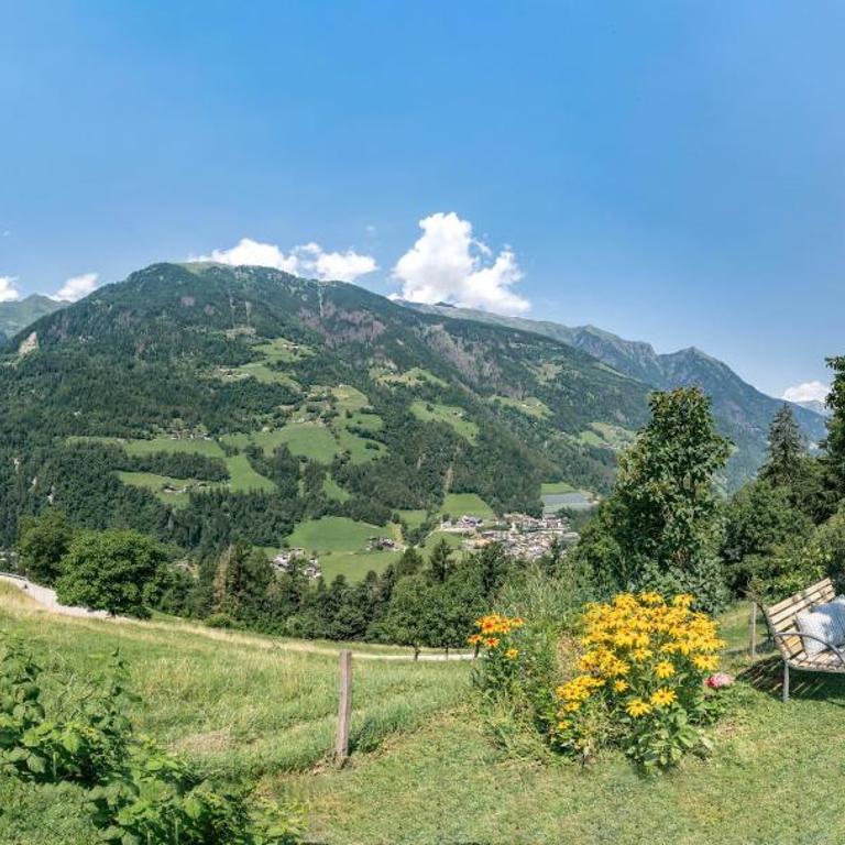 Hortensie Pension Sankt Ursula - Appartamento Superior con 1 Camera da Letto e Balcone - 25