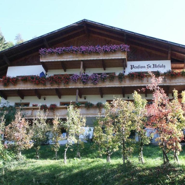 Hortensie Pension Sankt Ursula - Appartamento Superior con 1 Camera da Letto e Balcone - 8