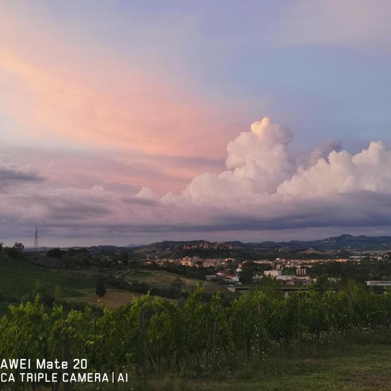 Tognazzi Casa Vacanze - Appartamento Due Archi - Three-Bedroom Apartment - 64