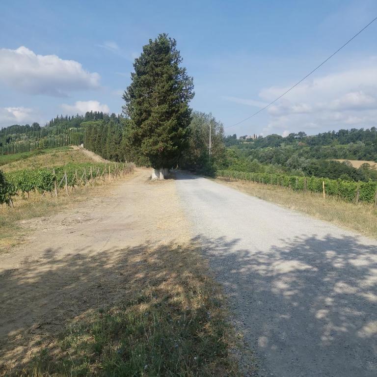 Tognazzi Casa Vacanze - Appartamento Due Archi - Three-Bedroom Apartment - 61