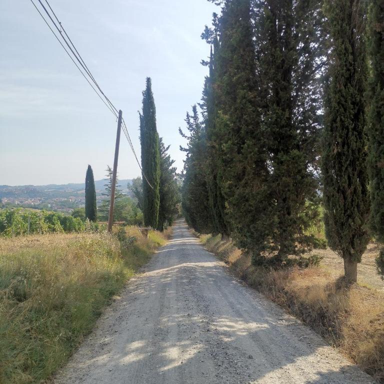 Tognazzi Casa Vacanze - Appartamento Due Archi - Three-Bedroom Apartment - 63