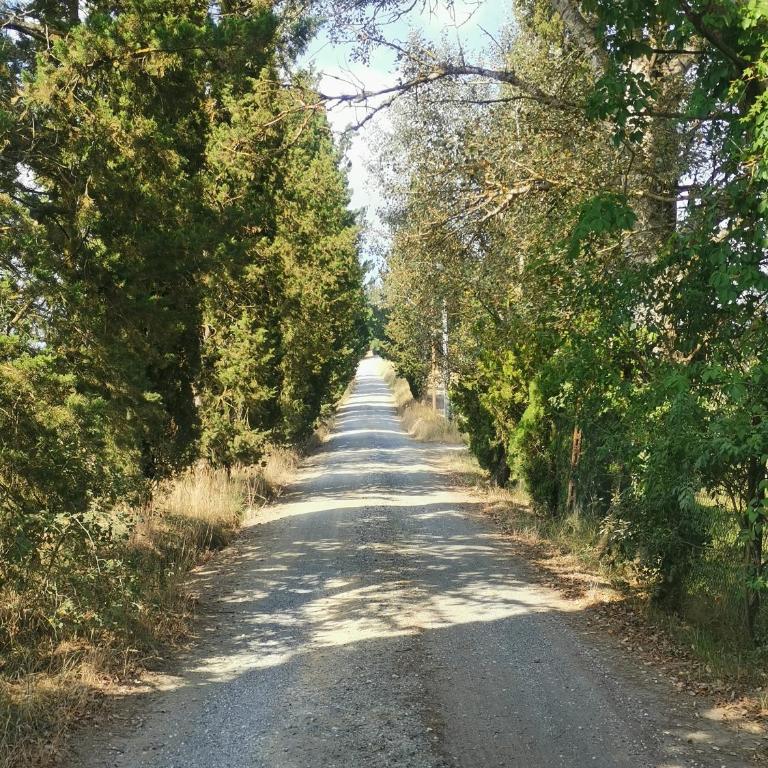 Tognazzi Casa Vacanze - Appartamento Due Archi - Three-Bedroom Apartment - 62