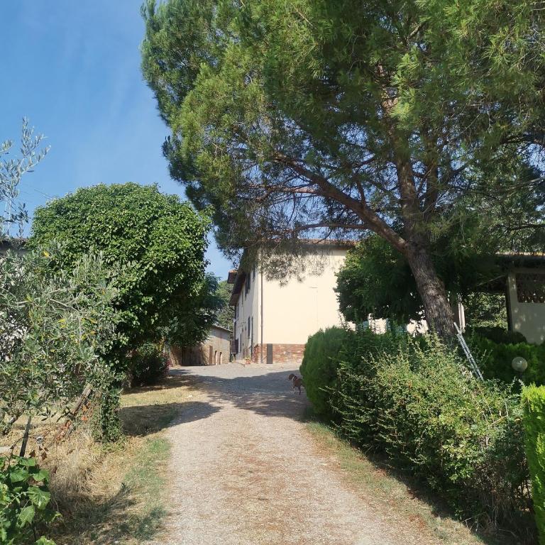 Tognazzi Casa Vacanze - Appartamento Due Archi - Three-Bedroom Apartment - 56
