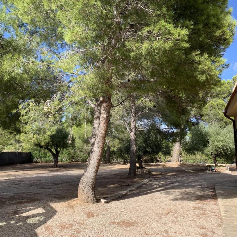 CANLEPEZ Villa avec piscine privée 8 personnes - Villa con piscina privada - 29