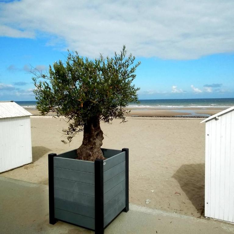 Studio lumineux à 300 m de la plage et commerces - Apartamento Estudio - 22