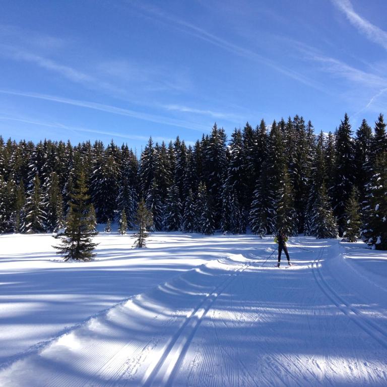 Chalet mitoyen 4 personnes - Chalet 2 Chambres - 33