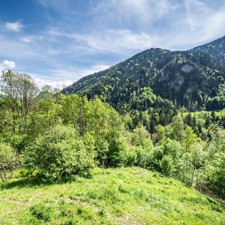 Chalet Elisthur - Chambre Double - Vue sur Montagne - 10