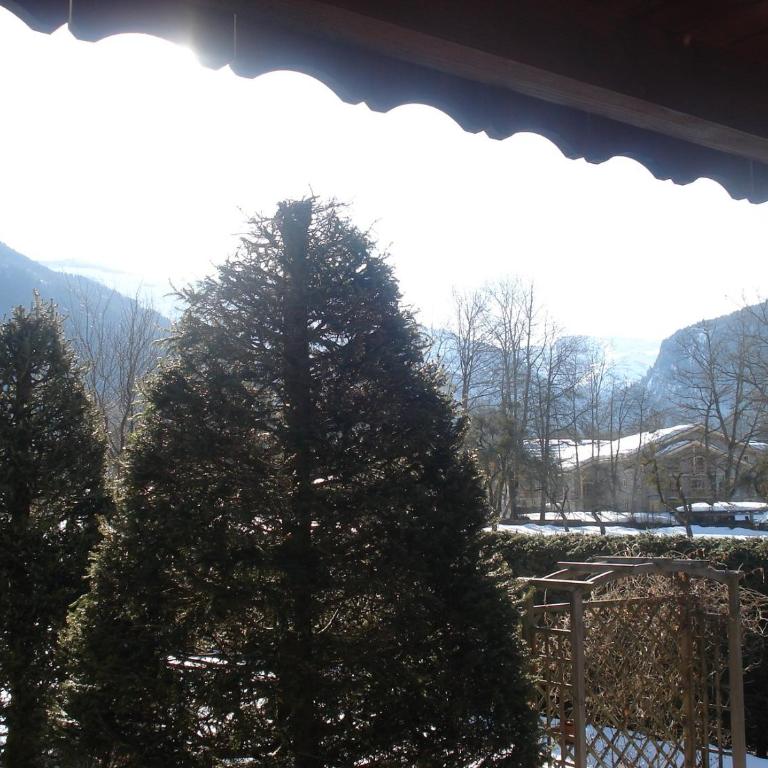 Petit Chalet de charme - Chalet mit 1 Schlafzimmer - 5