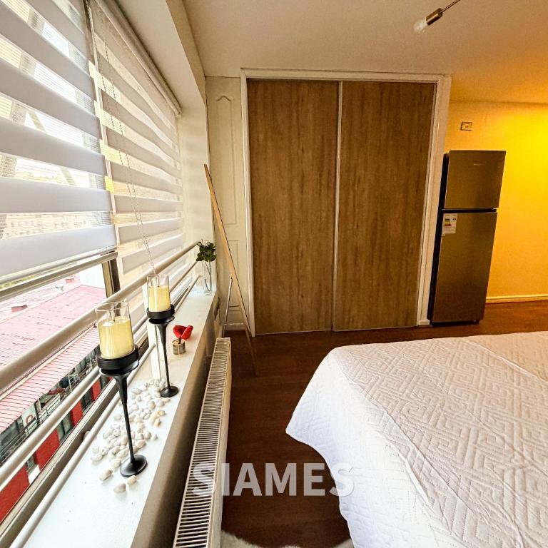 Metro Pedro Valdivia 150 - One-Bedroom Apartment - 9