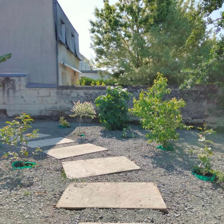 Maison avec jardin arboré - Maison 2 Chambres - 2