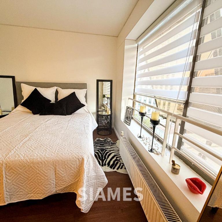 Metro Pedro Valdivia 150 - One-Bedroom Apartment - 7